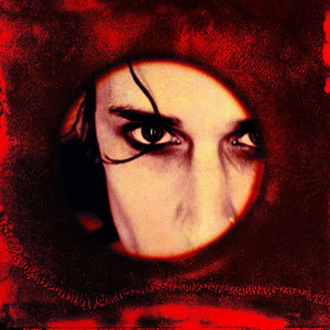 男女全裸搞基操好莱坞
