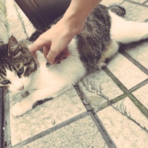 男女全裸搞基操好莱坞
